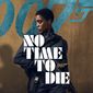 Poster 16 No Time to Die