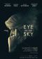 Film Eye in the Sky
