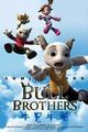 Film - Bull Brothers