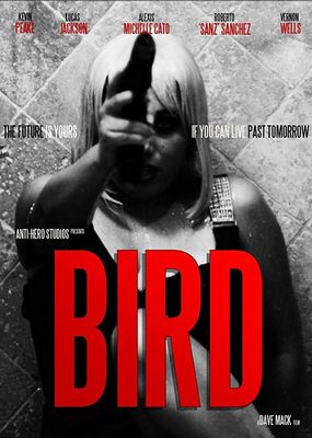 Bird poster