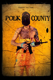 Poster Polk County