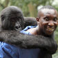 Foto 2 Virunga