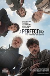 Poster A Perfect Day