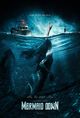 Film - Mermaid Down