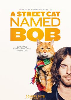 A Street Cat Named Bob online subtitrat