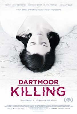 Dartmoor Killing poster