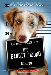 Poster The Bandit Hound