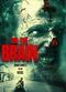 Film On the Brain