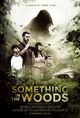 Film - Something in the Woods
