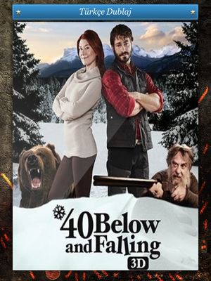 40 Below and Falling 3D poster