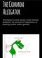 Film The Common Alligator