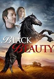 Poster Black Beauty