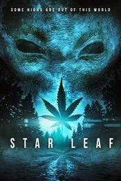 Poster Star Leaf