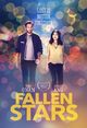Film - Fallen Stars