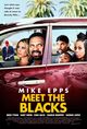 Film - Meet the Blacks