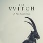 Poster 22 The VVitch: A New-England Folktale