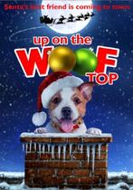Up on the Wooftop