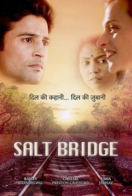 Salt Bridge poster