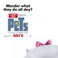 Poster 6 The Secret Life of Pets