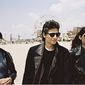 Foto 5 The Wolfpack