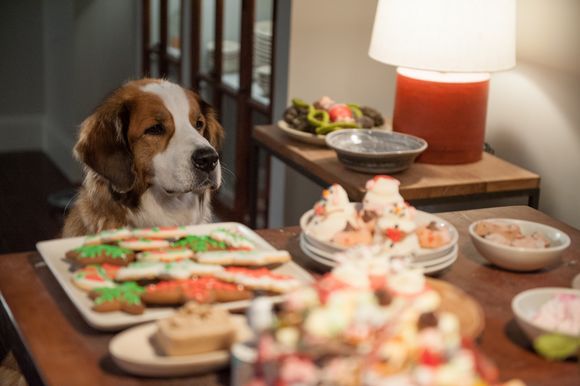 Love the Coopers