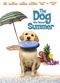 Film The Dog Who Saved Summer