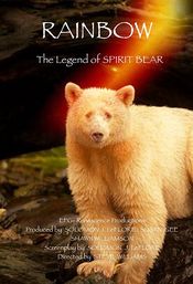 Poster Spirit Bear