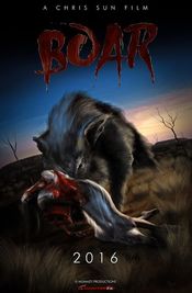 Poster Boar