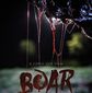 Poster 5 Boar