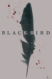 Poster Black Bird