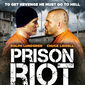 Poster 5 Riot