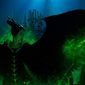 Foto 8 Maleficent: Mistress of Evil
