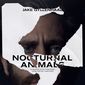 Poster 4 Nocturnal Animals