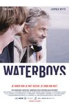 The Waterboys