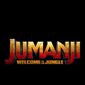 Poster 24 Jumanji: Welcome to the Jungle