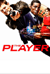 Poster The Player