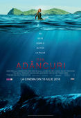 The Shallows