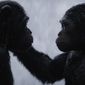 Foto 5 War for the Planet of the Apes