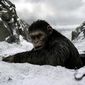 Foto 11 War for the Planet of the Apes