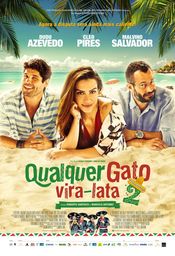 Poster Qualquer Gato Vira-Lata 2