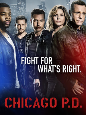 Chicago P.D. poster