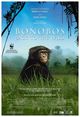 Film - Bonobos: Back to the Wild