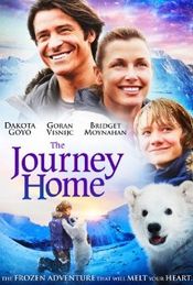 Poster The Journey Home
