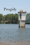 Progidy: A Firsthand Experience with Secondary Education