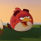 Foto 12 Angry Birds Toons