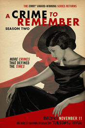 Poster A Crime to Remember