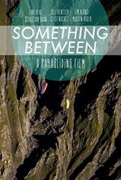 Poster Something Between