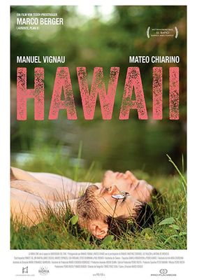 Hawaii poster