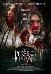 Poster The Perfect Husband