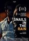 Film Snails in the Rain
